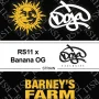 Насіння конопель RS11 x Banana OG від Barney's Farm